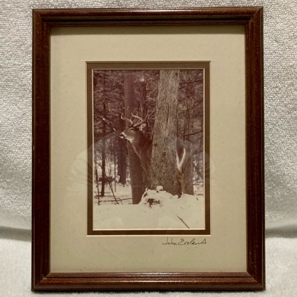 Framed Deer Scene Picture